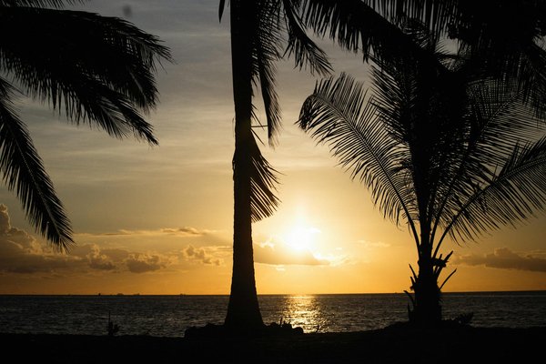Hôtel haut de gamme éco-conçu à pornic : votre paradis durable