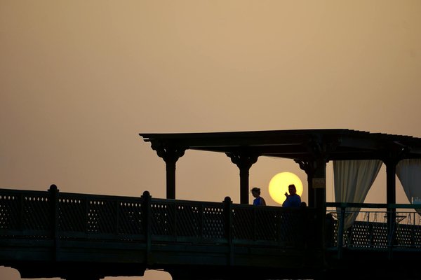 Découvrez les trésors du vin de sancerre pour un moment inoubliable